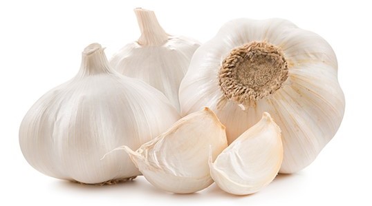 garlic